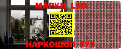 прущие грибы Кандалакша