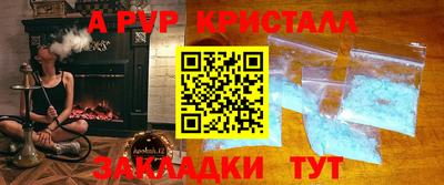 прущие грибы Кандалакша