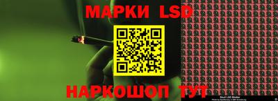 прущие грибы Кандалакша