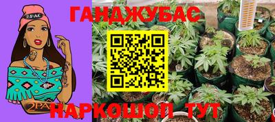 прущие грибы Кандалакша