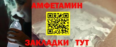 прущие грибы Кандалакша