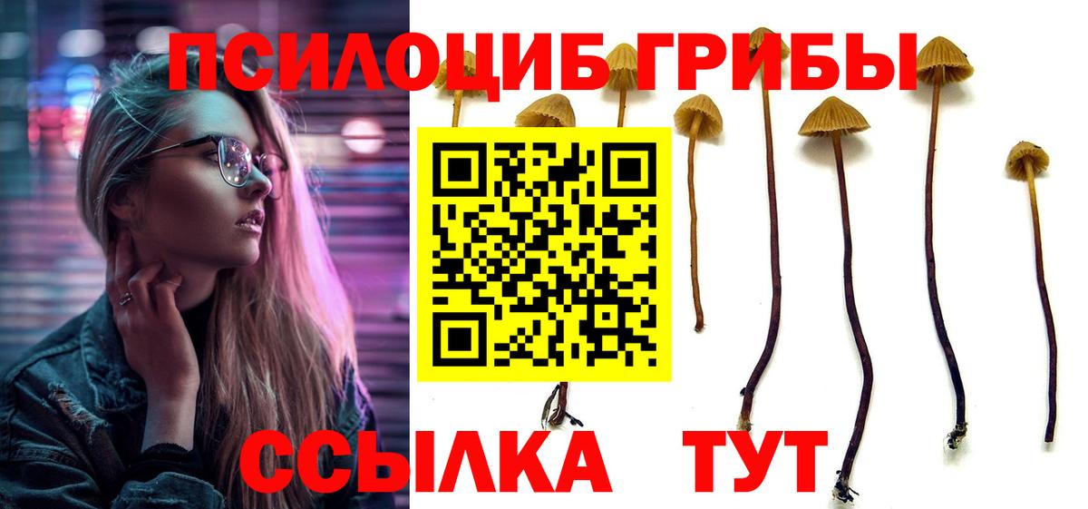 Галлюциногенные грибы Psilocybine cubensis Люберцы