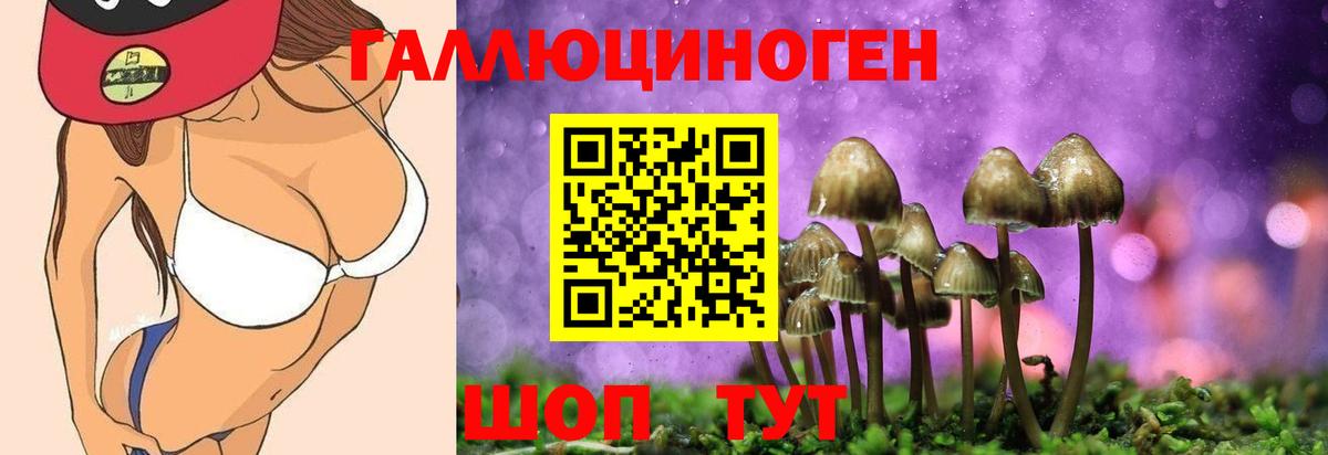 Галлюциногенные грибы прущие грибы  Вход с VPN  Люберцы 
