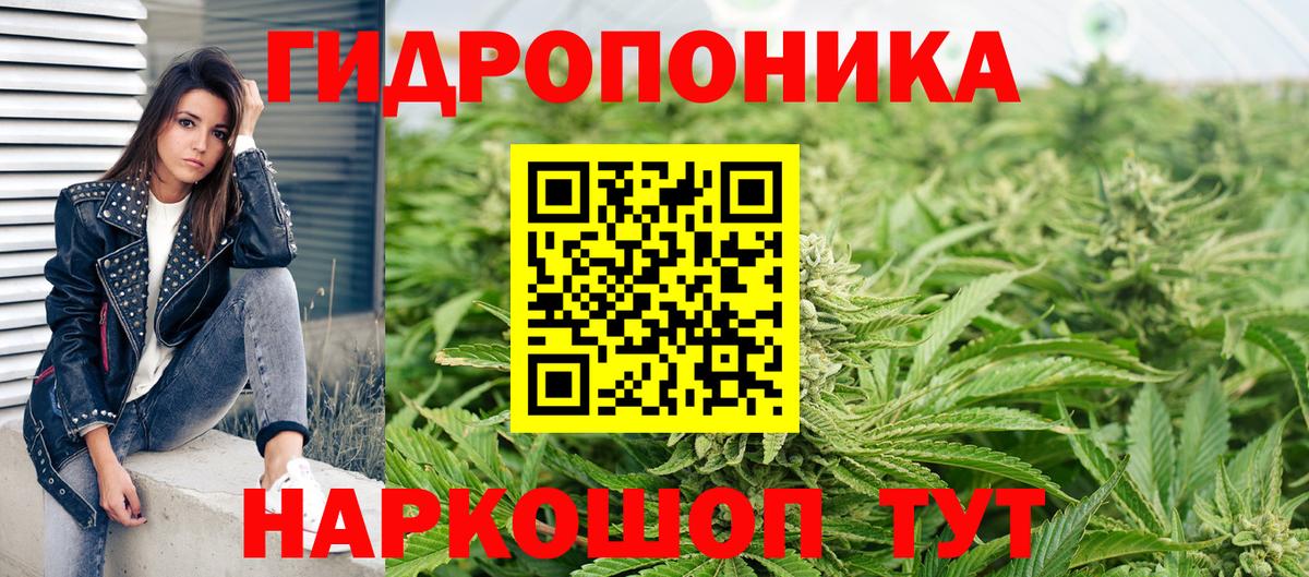 Конопля гибрид Люберцы
